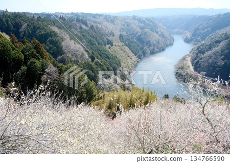 Nara City, Nara Prefecture_View from Tsukigase Plum Grove 26_March 2025 Nara City, Nara Prefecture_View from Tsukigase Plum Grove 26_March 2025 134766590