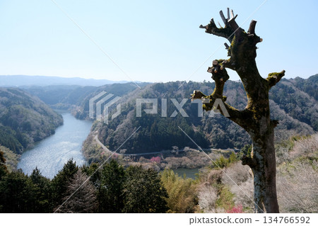 Nara City, Nara Prefecture_View from Tsukigase Plum Grove 28_March 2025 Nara City, Nara Prefecture_View from Tsukigase Plum Grove 28_March 2025 134766592