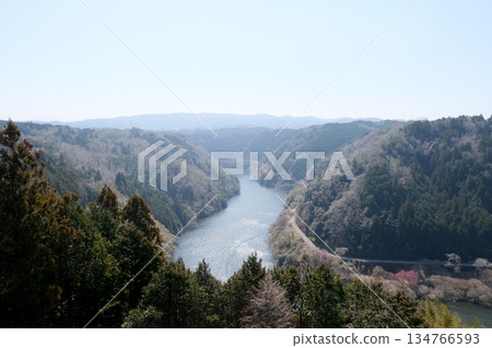 奈良縣奈良市_月瀨梅林景色_2025年3月29日 奈良縣奈良市_月瀨梅林景色_2025年3月29日 134766593