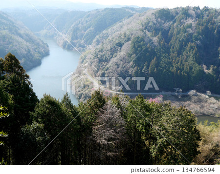 Nara City, Nara Prefecture_View from Tsukigase Plum Grove 30_March 2025 Nara City, Nara Prefecture_View from Tsukigase Plum Grove 30_March 2025 134766594