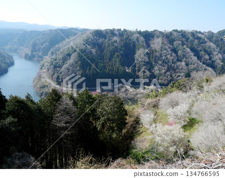 Nara City, Nara Prefecture_View from Tsukigase Plum Grove 31_March 2025 Nara City, Nara Prefecture_View from Tsukigase Plum Grove 31_March 2025 134766595