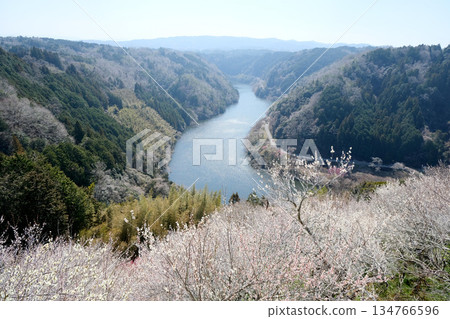 Nara City, Nara Prefecture_View from Tsukigase Plum Grove 32_March 2025 Nara City, Nara Prefecture_View from Tsukigase Plum Grove 32_March 2025 134766596