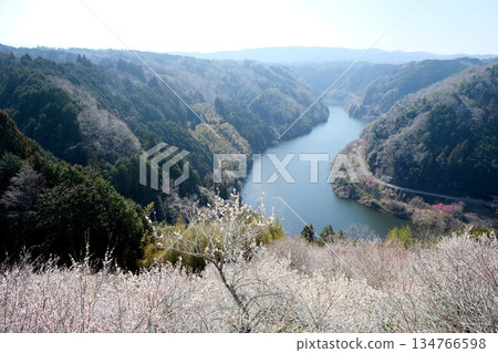 Nara City, Nara Prefecture_View from Tsukigase Plum Grove 34_March 2025 Nara City, Nara Prefecture_View from Tsukigase Plum Grove 34_March 2025 134766598