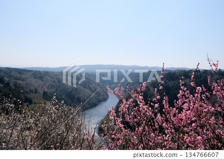Nara City, Nara Prefecture_View from Tsukigase Plum Grove 43_March 2025 Nara City, Nara Prefecture_View from Tsukigase Plum Grove 43_March 2025 134766607