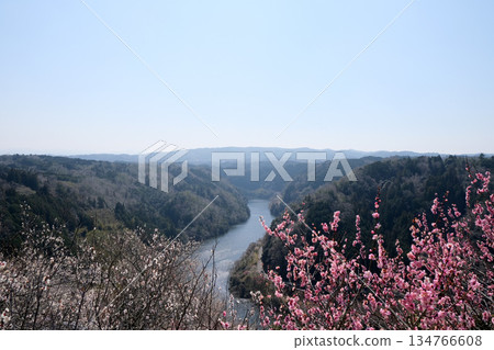 Nara City, Nara Prefecture_View from Tsukigase Plum Grove 44_March 2025 Nara City, Nara Prefecture_View from Tsukigase Plum Grove 44_March 2025 134766608