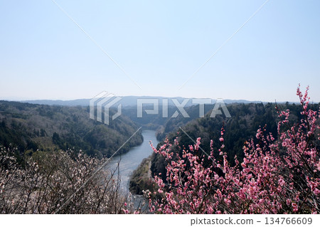 Nara City, Nara Prefecture_View from Tsukigase Plum Grove 45_March 2025 Nara City, Nara Prefecture_View from Tsukigase Plum Grove 45_March 2025 134766609