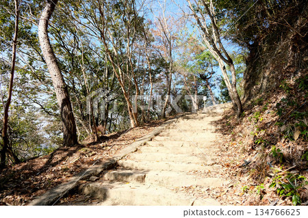 岡山縣高橋市_備中松山城步道 2025年3月30日 岡山縣高橋市_備中松山城步道 2025年3月30日 134766625