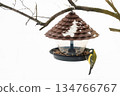 A titmouse eats seeds and bird food from a plastic feeder, against a snowy background, close-up 134766767