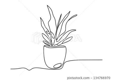 Houseplant in Pot Interior Decoration Continuous One Line Drawing Houseplant in Pot Interior Decoration Continuous One Line Drawing 134766970