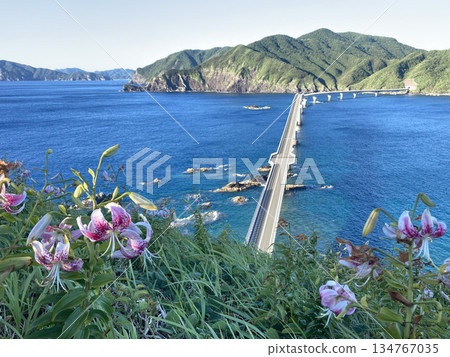 古色橋 鳥巢山展望台 Kanokoyuri 134767035