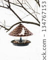 A plastic bird feeder with seeds and bird food hangs from a tree. Caring for birds in winter 134767153