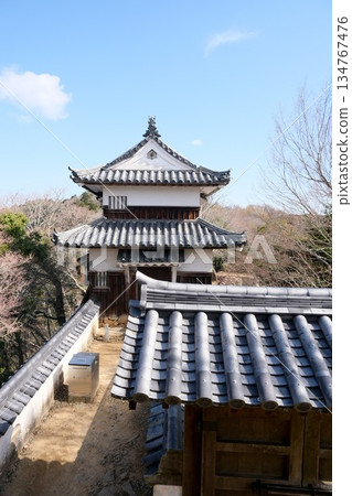 岡山縣高橋市_備中松山城雙塔2_2025年3月 134767476