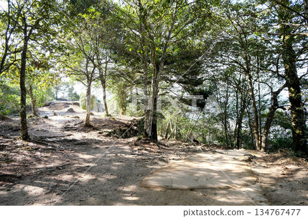 岡山縣高橋市_備中松山城中鼓樓遺址_2025年3月4日 岡山縣高橋市_備中松山城中鼓樓遺址_2025年3月4日 134767477