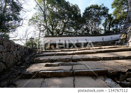Takahashi City, Okayama Prefecture_Bicchu Matsuyama Castle 33_March 2025 Takahashi City, Okayama Prefecture_Bicchu Matsuyama Castle 33_March 2025 134767512