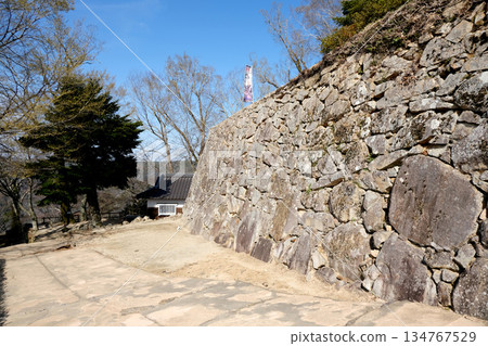 岡山縣高橋市_備中松山城_2025年3月17日 134767529