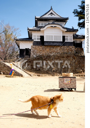 岡山縣高橋市_備中松山城本丸10_2025年3月 134767616