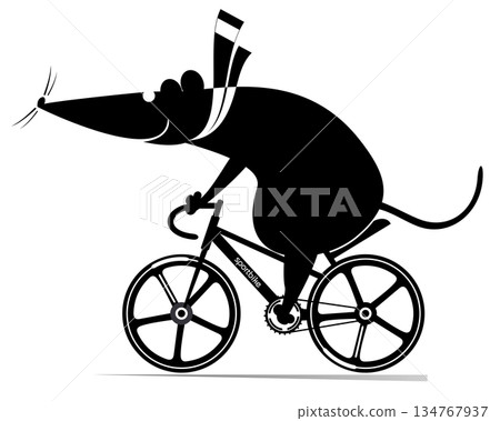 Cycling. Cute rat or mouse rides a bicycle. Cartoon cute rat or mouse rides a bicycle. Black on white illustration	 134767937