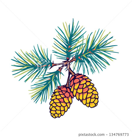 Vsai pine tree branch with cones illustration artwork 134769773