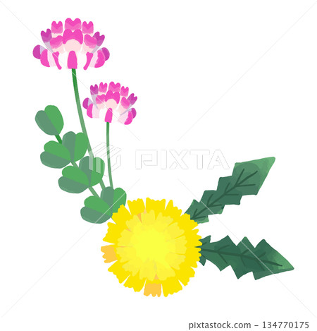 Hand drawn cute lotus and dandelion illustration 134770175