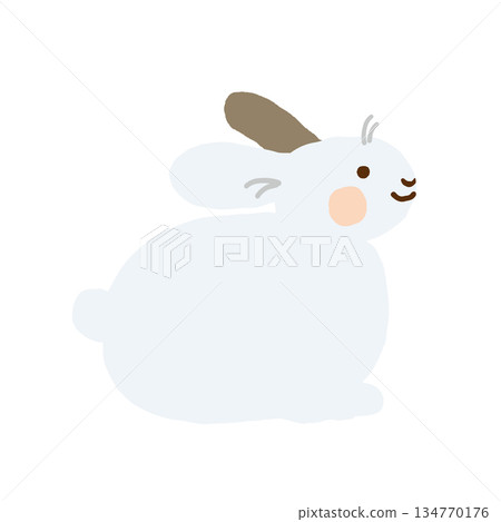 Cute white rabbit illustration 134770176