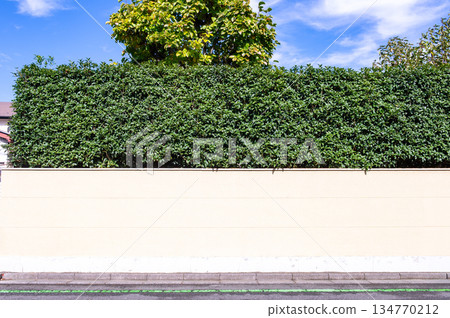 street wall background ,Industrial background, empty grunge urban street with warehouse brick wall street wall background ,Industrial background, empty grunge urban street with warehouse brick wall 134770212
