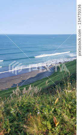 This photograph captures a stunning view of a coastal beach from atop a grassy slope on the Kuril Islands. This photograph captures a stunning view of a coastal beach from atop a grassy slope on the Kuril Islands. 134770336