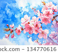 Background image of blue sky and cherry blossoms 134770616