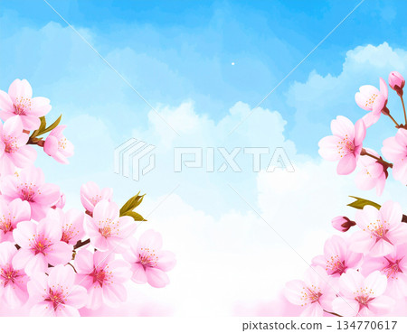 A refreshing frame image of blue sky and cherry blossoms 134770617