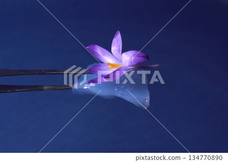 Airgel and experiences with it. aerogel 134770890