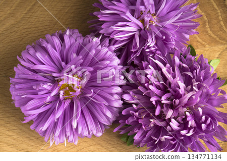 Blooming flowers, three buds of aster, on a wooden board 134771134