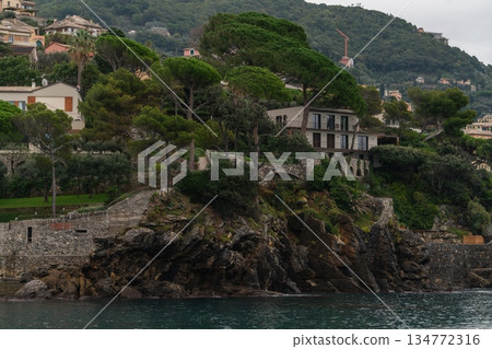 Coastal Villa on Rocky Cliff with Umbrella Pines in Liguria, Italy 134772316