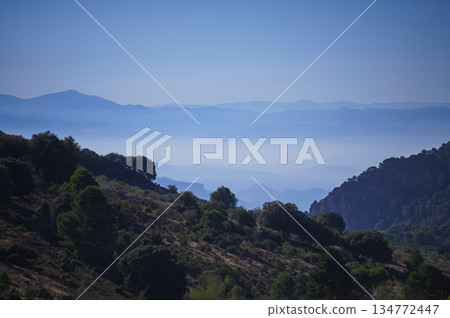Tranquil Mountain Valley With Blue Haze Over Forested Hills At Dawn 134772447