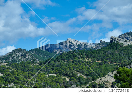 Mountain Ridge With Pine Forest Under Clear Blue Sky and Rolling Hills Landscape Scene Mountain Ridge With Pine Forest Under Clear Blue Sky and Rolling Hills Landscape Scene 134772458