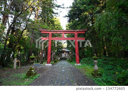The torii gate of Soshi Shrine surrounded by forest (Nagaoka City, Niigata Prefecture) The torii gate of Soshi Shrine surrounded by forest (Nagaoka City, Niigata Prefecture) 134772605