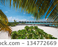 Panoramic view of luxury water villas and tropical beach framed by palm leaves, Maldives 134772669