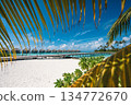 Panoramic view of luxury water villas and tropical beach framed by palm leaves, Maldives 134772670