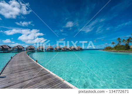 Panoramic view of luxury water villas and tropical beach framed by palm leaves, Maldives 134772671