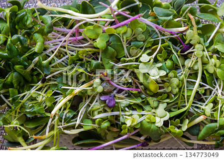 Green spinach salad pile 134773049