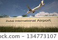 Arrivals at Dubai International Airport with airplane landing near terminal, Dubai, United Arab Emirates 3D rendering 134773107