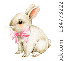 Watercolor illustration of a cute white rabbit with a pink bow, a charming design for Easter holidays cards or baby shower invitations.	 134773222