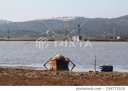 fishing boats on the lake. Bodrum, Mugla , Turkey 134773328