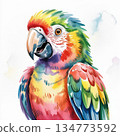 Colorful Watercolor Illustration of a Parrot Showcasing Bright Feathers and Details of Its Features 134773592