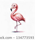 Colorful Watercolor Illustration Showing a Pink Flamingo Standing on One Leg in a Simple Background 134773593