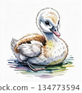 Watercolor Illustration of a Small Duckling on a Calm Water Surface 134773594