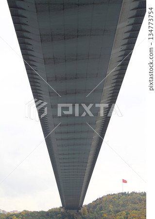 Under The Bridge Of The Bosporus, istanbul Turkey 134773754