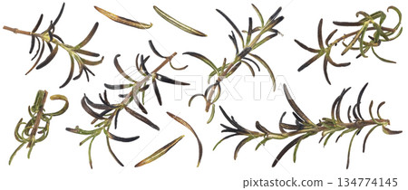 Grilled rosemary herbs, charred aromatic leaves isolated on white background, full depth of field Grilled rosemary herbs, charred aromatic leaves isolated on white background, full depth of field 134774145