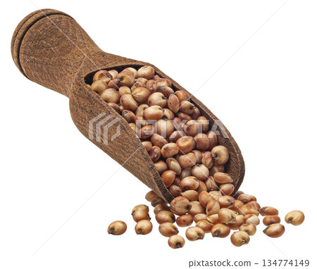 Sorghum grains in wooden scoop isolated white background, full depth of field Sorghum grains in wooden scoop isolated white background, full depth of field 134774149