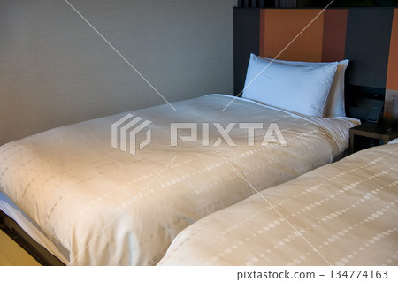 Hotel twin room 134774163
