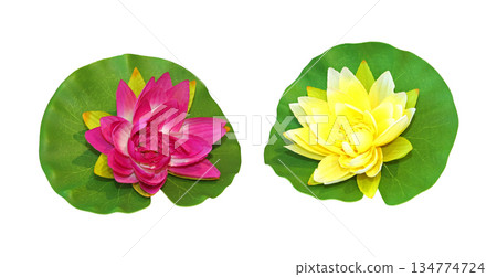 Lotus flower 134774724
