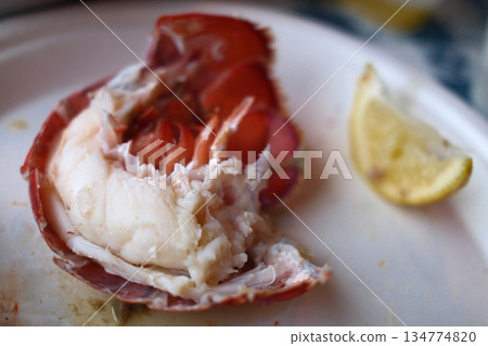 red fresh lobster as sea food red fresh lobster as sea food 134774820